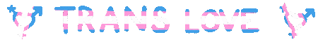 trans love